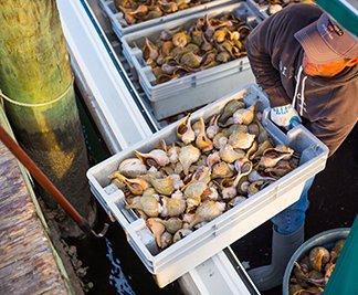 Spring Forward: What’s Next for the Portal in 2017?