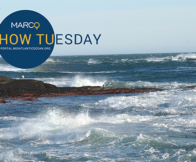 Video Rewind: Intro to the Portal Webinar