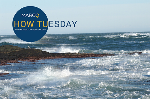 'How Tuesday' Webinar: MARACOOS Data