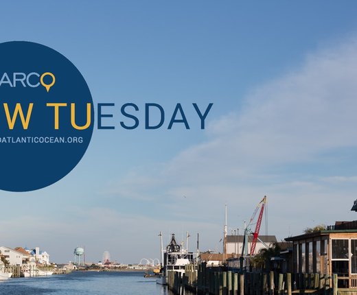 Video Rewind: How Tu Use Marine Planner's Tools