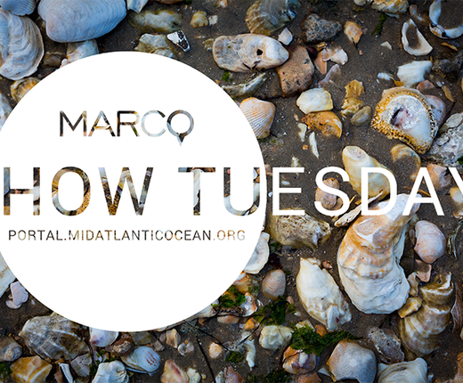 How Tuesday Webinar: The N.Y. Geographic Information Gateway and Virginia Coastal GEMS