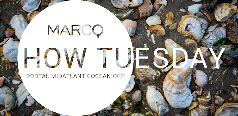 Coastal and Ocean Acidification Data Webinar