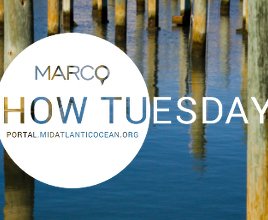 Video: June Intro to the Portal Webinar