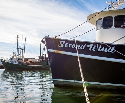 Watch: November 2025 'How Tuesday' Fishing Data Webinar