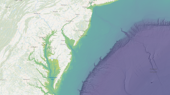 bluetopo broad
