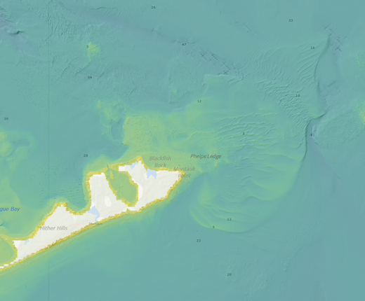 NOAA BlueTopo Bathymetry Now in Habitat Theme
