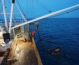 Portal Adds, Reorganizes Fishing Management Areas Maps