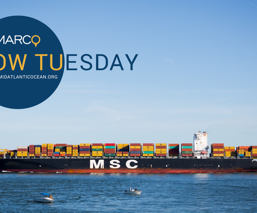 VIDEO: Port Access Route Studies Update & Map Data Webinar