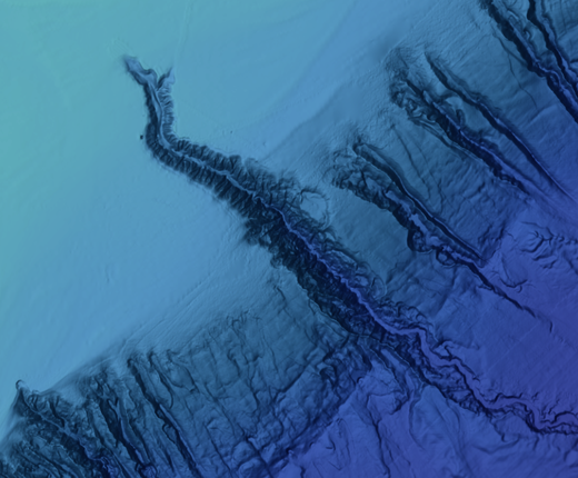 Watch: Explore the Hudson Canyon with the Portal