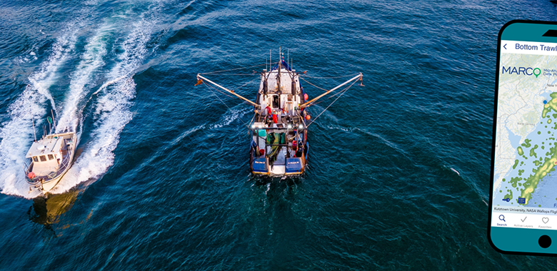 Download the MARCO Portal Mobile App