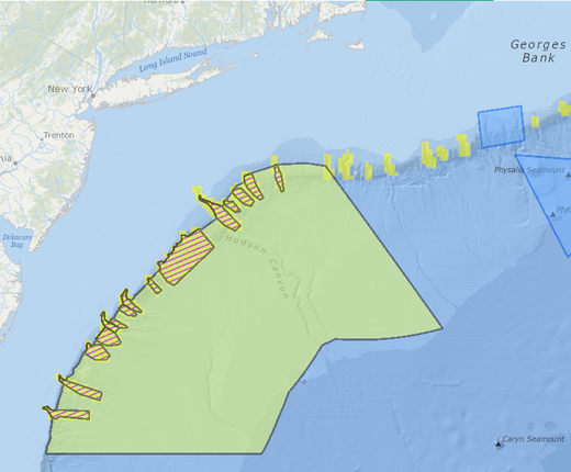 Atlantic Withdrawal, National Monument and Coral Protection Area Maps Now Online