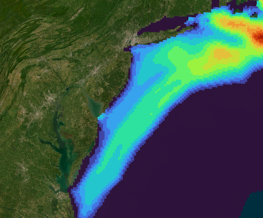 New Maps Show Where North Atlantic Right Whales Have Shifted Distribution Over the Last 20 Years