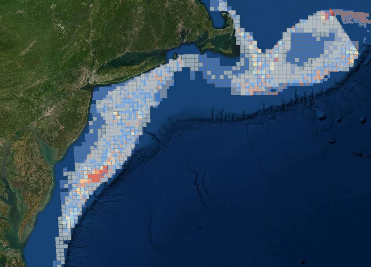 scallop average.PNG