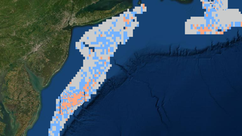 scallop camera data.PNG