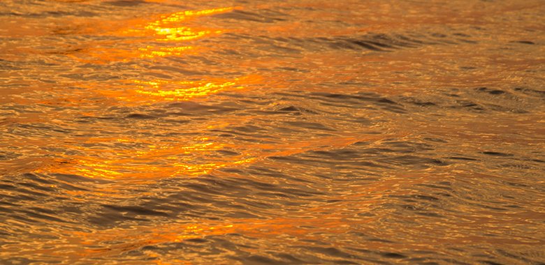 Marine Heatwaves, HMS Habitat Changes